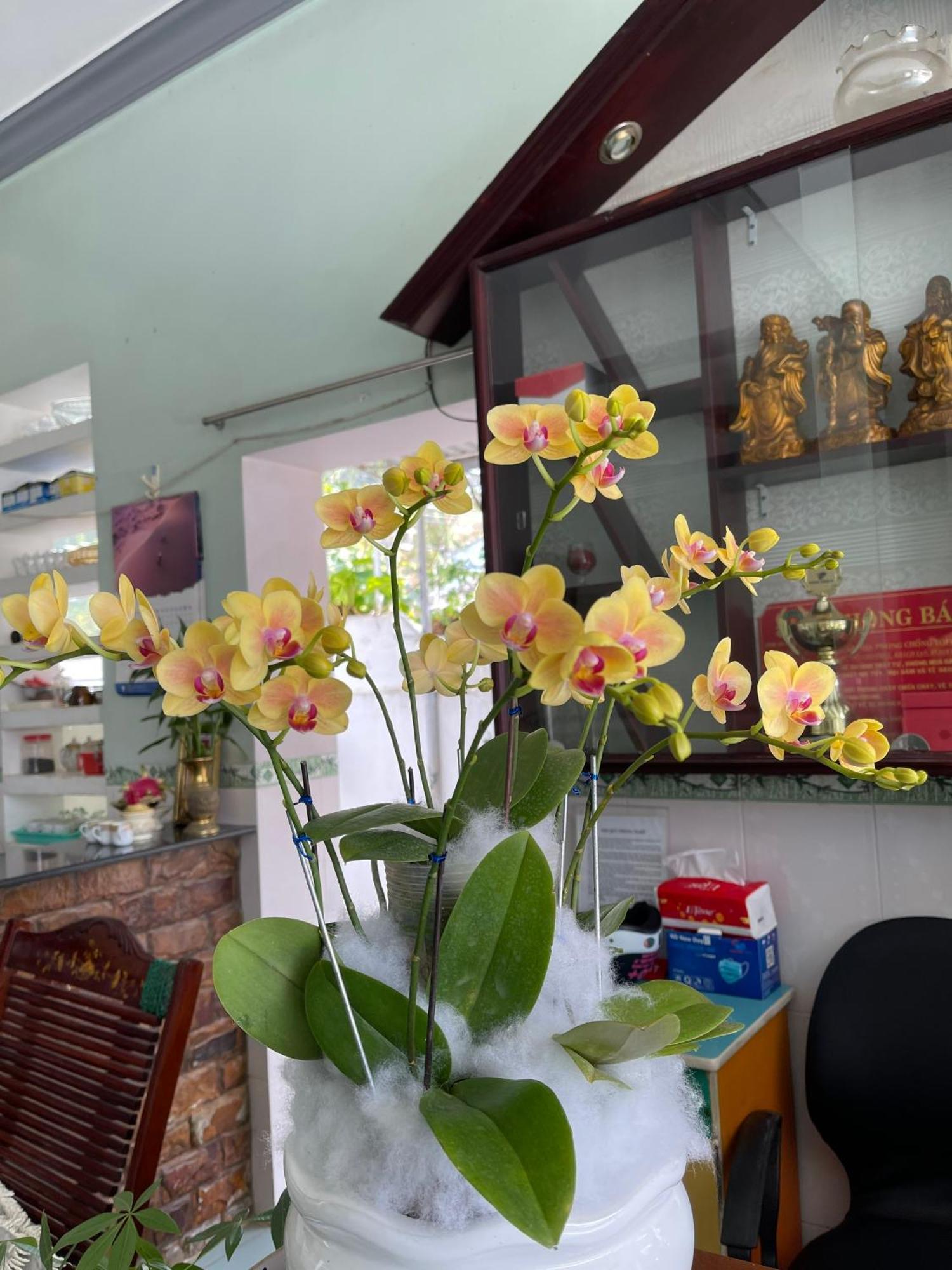 Son Tra Guesthouse Mui Ne Bagian luar foto